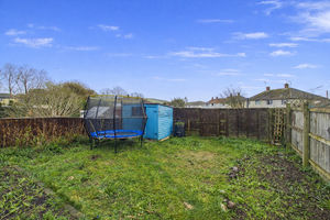 Garden- click for photo gallery